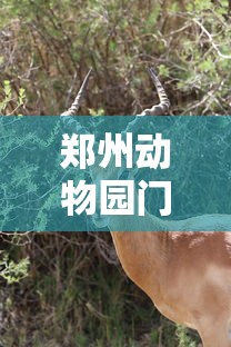 [教程经验]“微乐捉鸡麻将怎样玩才能赢分”(透视)开挂辅助脚本+详细开挂安装教程