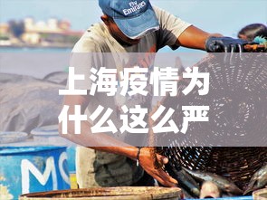 【终于出现】“微乐麻将外卦神器下载安装微信号”详细外挂安装步骤