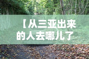 【揭秘一下】“福建微乐麻将输赢规律	”(果然有透视挂)