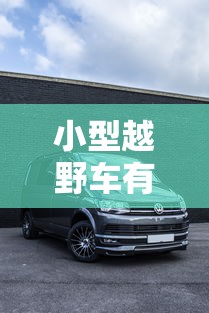 一分钟介绍应用“微乐家乡麻将老是输是什么原因”真可以装挂