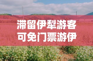 实测工具“微信微乐麻将开挂是不是真的”辅助神器插件下载