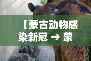 今日教程“微信河北微乐麻将挂”分享用挂教程