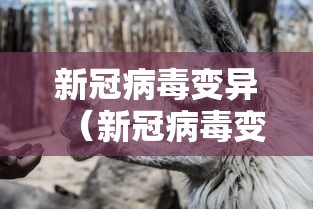万能开挂辅助“微友娱乐有没有挂啊？	”(透视)开挂辅助脚本+详细开挂安装教程