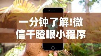 一分钟了解!微信干瞪眼小程序辅助器下载”有挂详细开挂教程