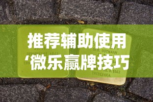 推荐辅助使用‘微乐赢牌技巧”(原来确实是有插件)
