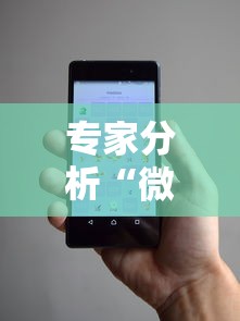 专家分析“微信小程序干瞪眼辅助	”辅助挂下载